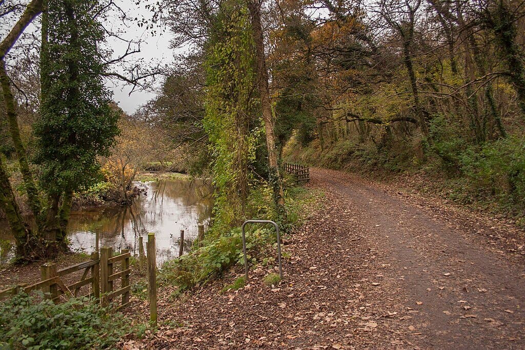 Camel Trail