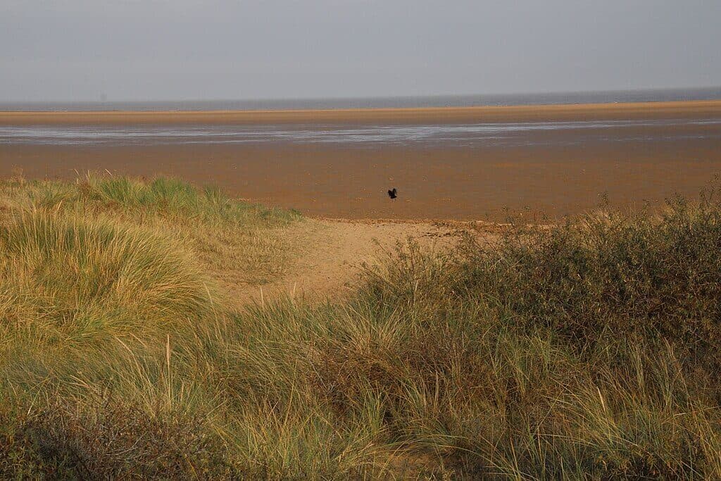 Saltfleetby–Theddlethorpe Dunes