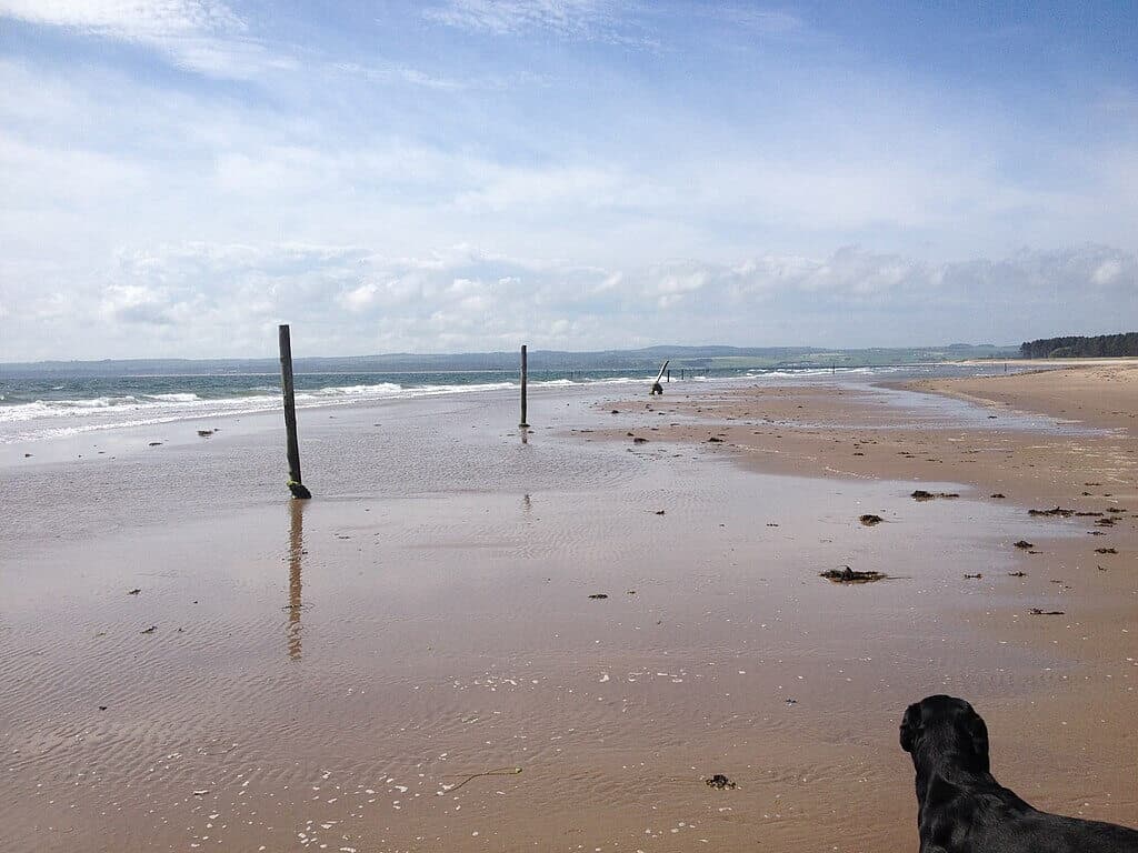 Tentsmuir Beach