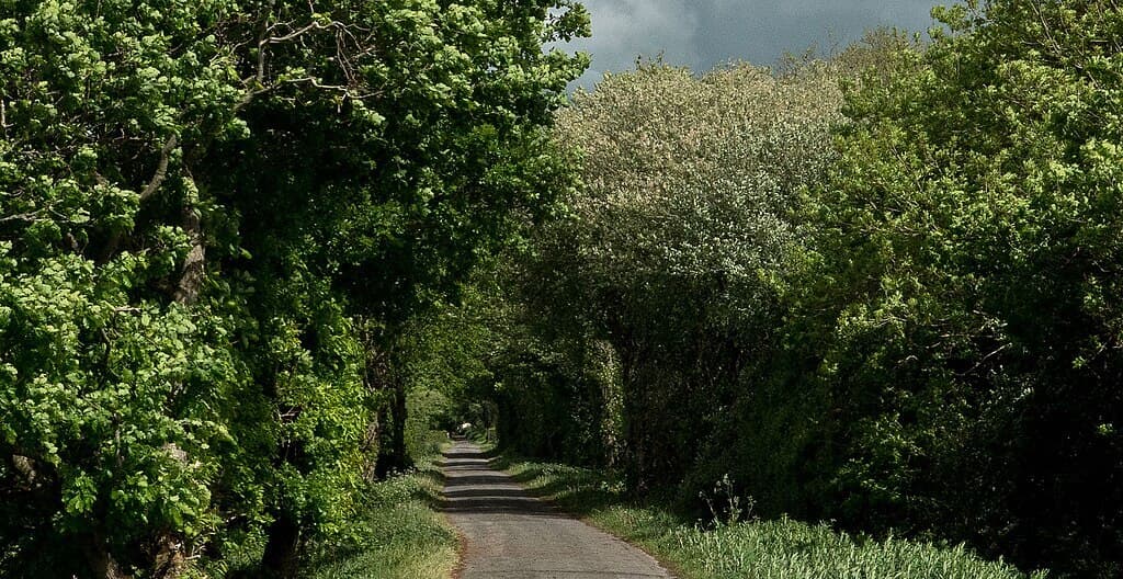 Tarka Trail: Fremington Quay to Instow