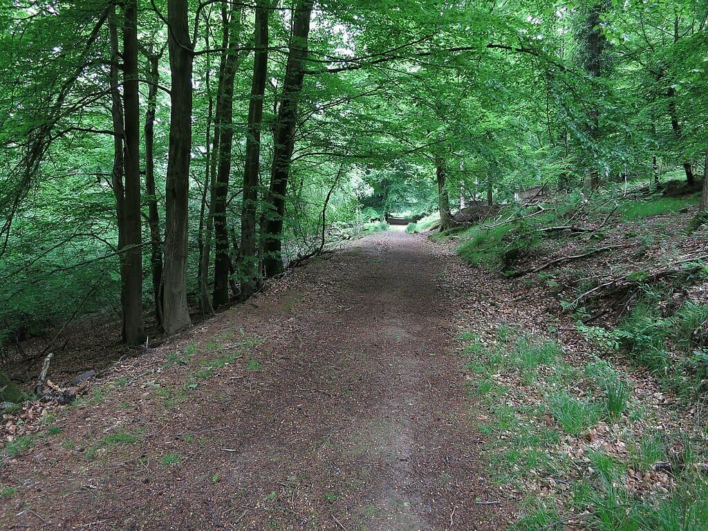 Nagshead Nature Reserve Trails