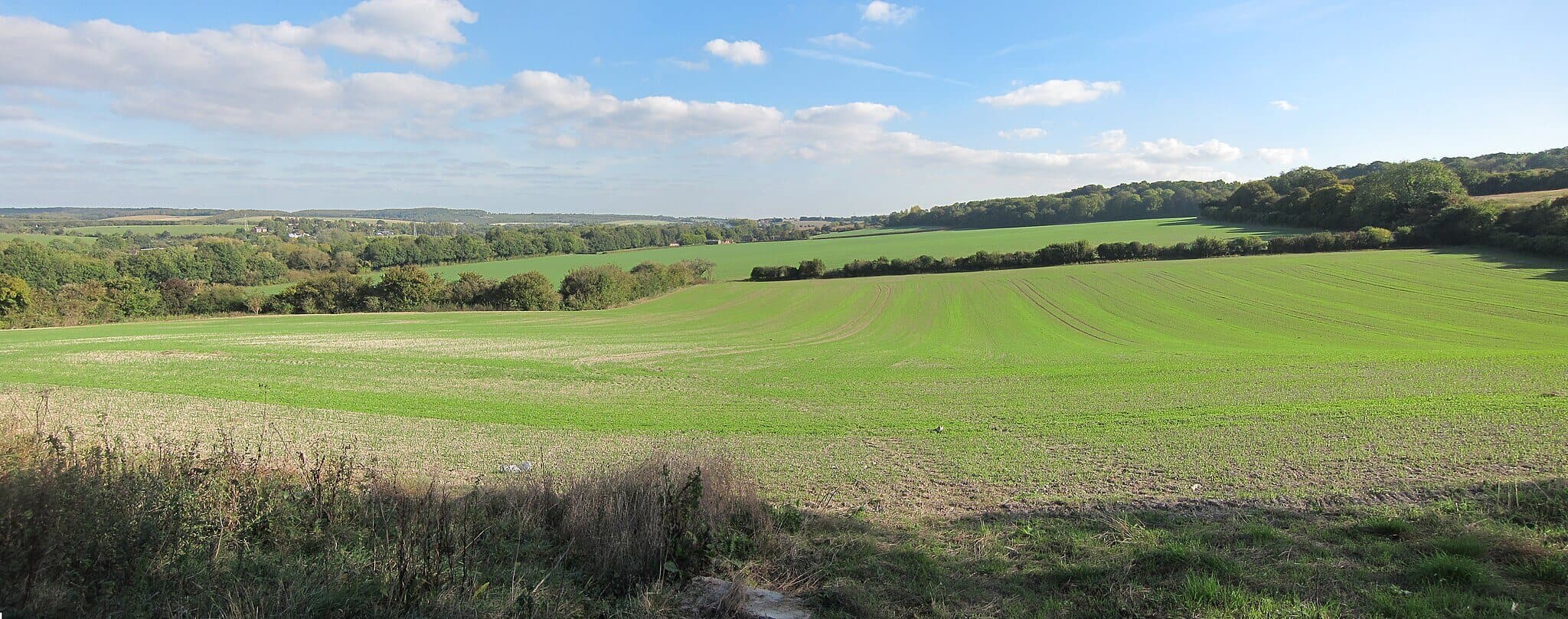 Wye to Chilham Downs Circular