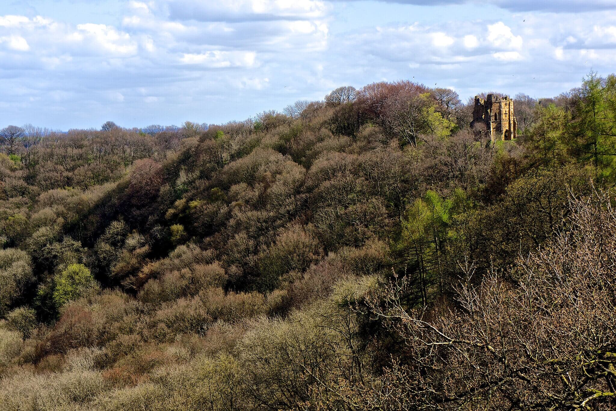 Hackfall Woods Circular (Grewelthorpe)