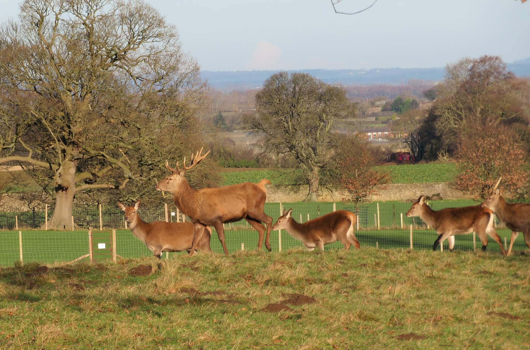 Studley Royal Deer Park Loop
