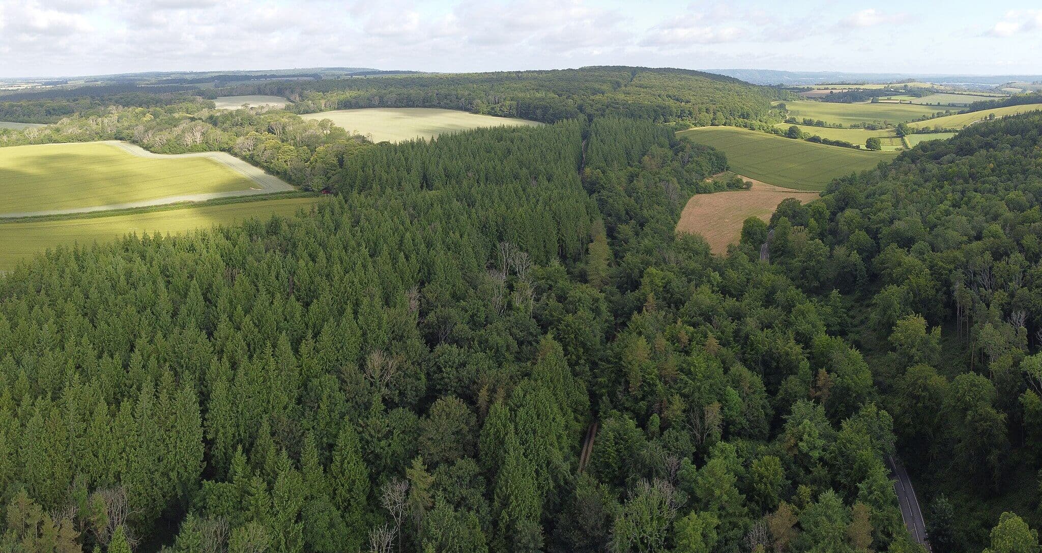 Harting Down