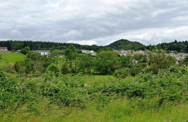 Parkend to Whitecroft Woodland Walk