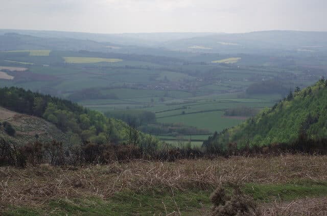 Staple Plain