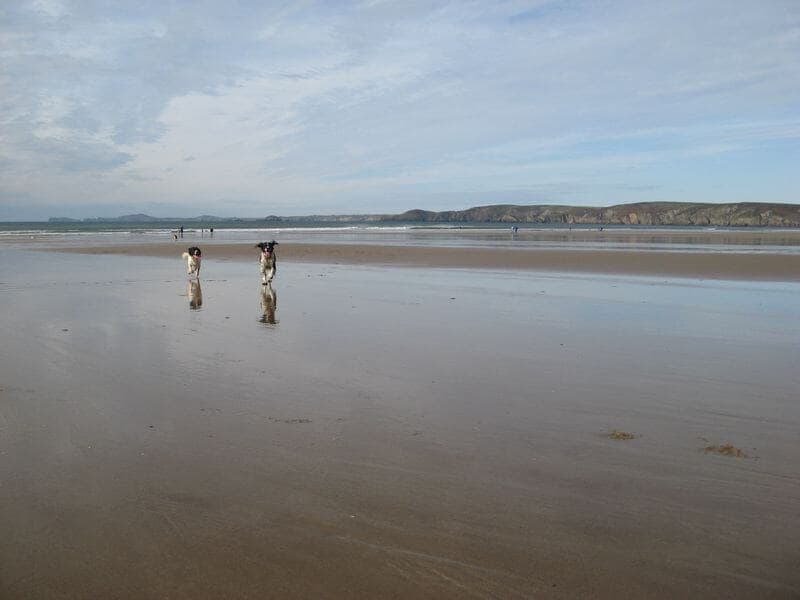 Newgale Beach