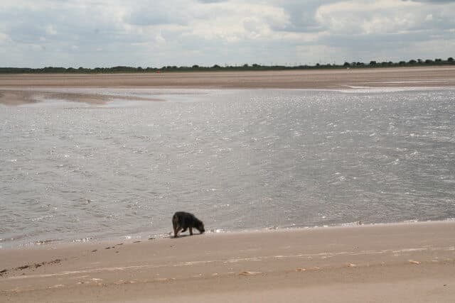 Donna Nook