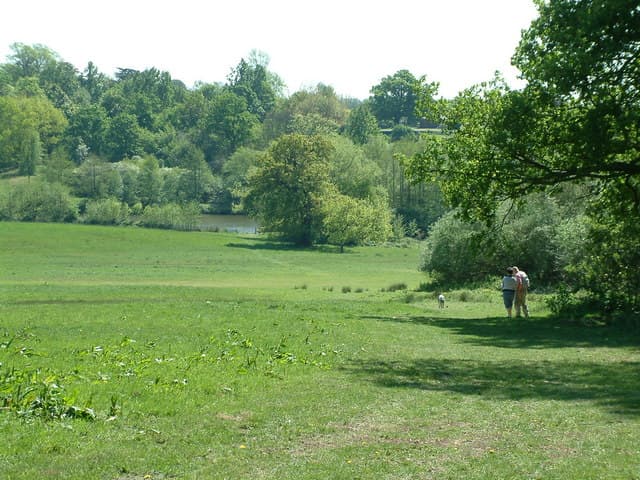 Weald Country Park Woodland Loop