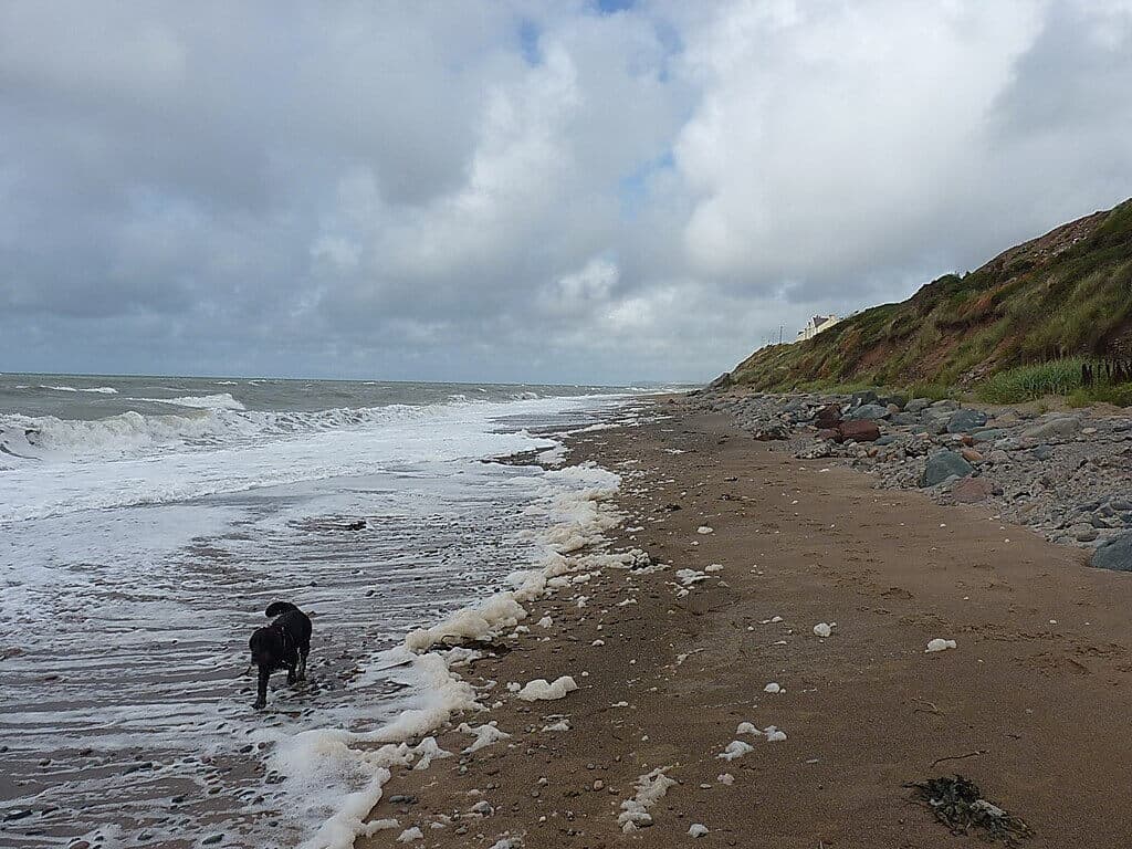 Seascale Beach