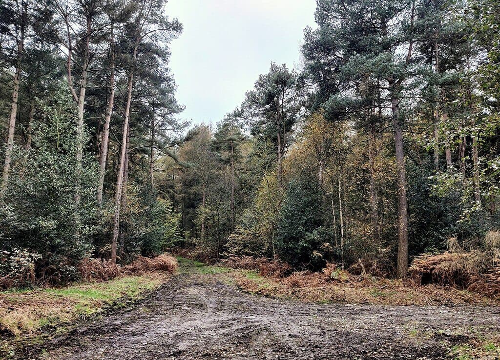Ulverscroft Priory and Charnwood Forest Trails