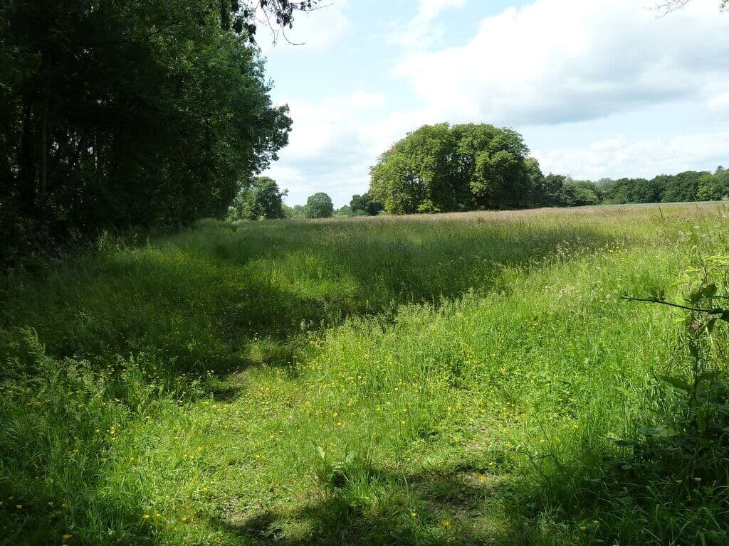 Market Bosworth Country Park and Battlefield Loop