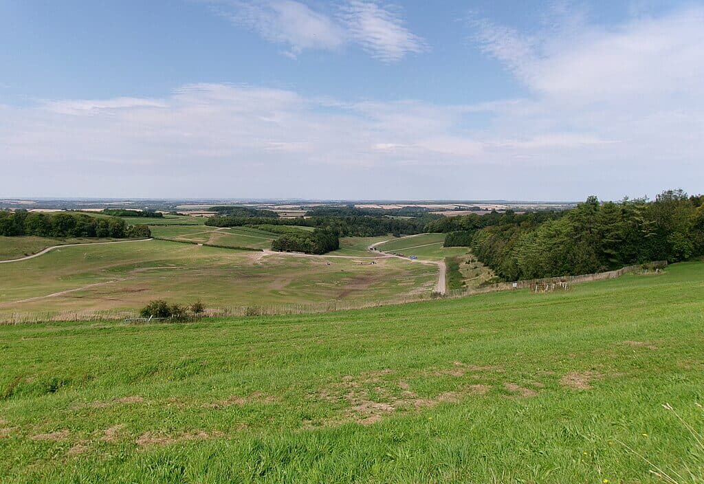Cheesefoot Head and Matterley Bowl Circular