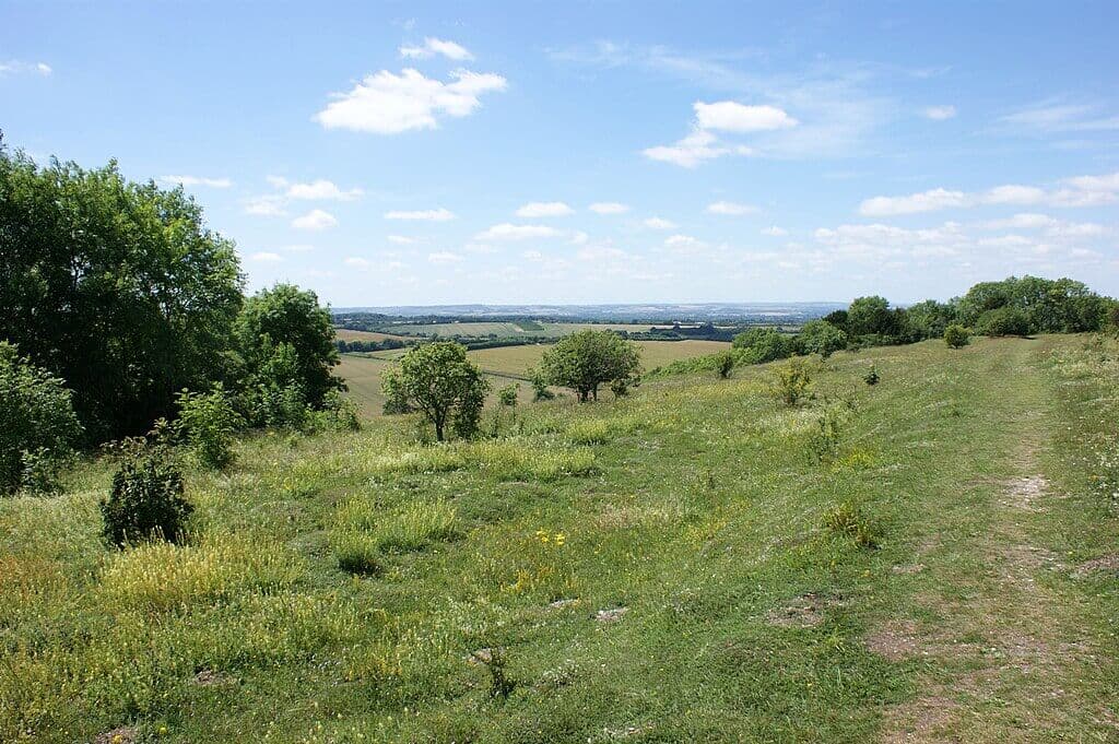 Chilterns: Swyncombe Downs
