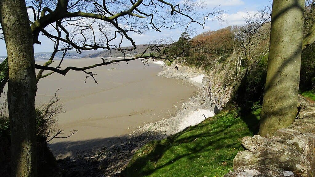 Silverdale Cove