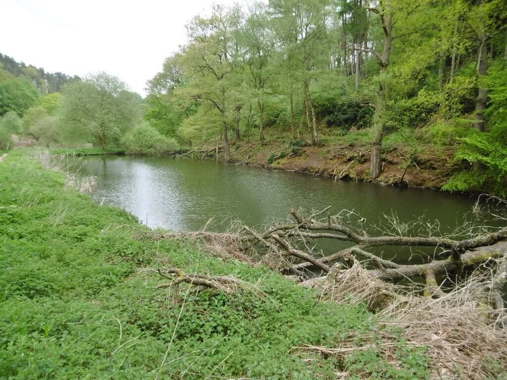 Dimmingsdale Valley