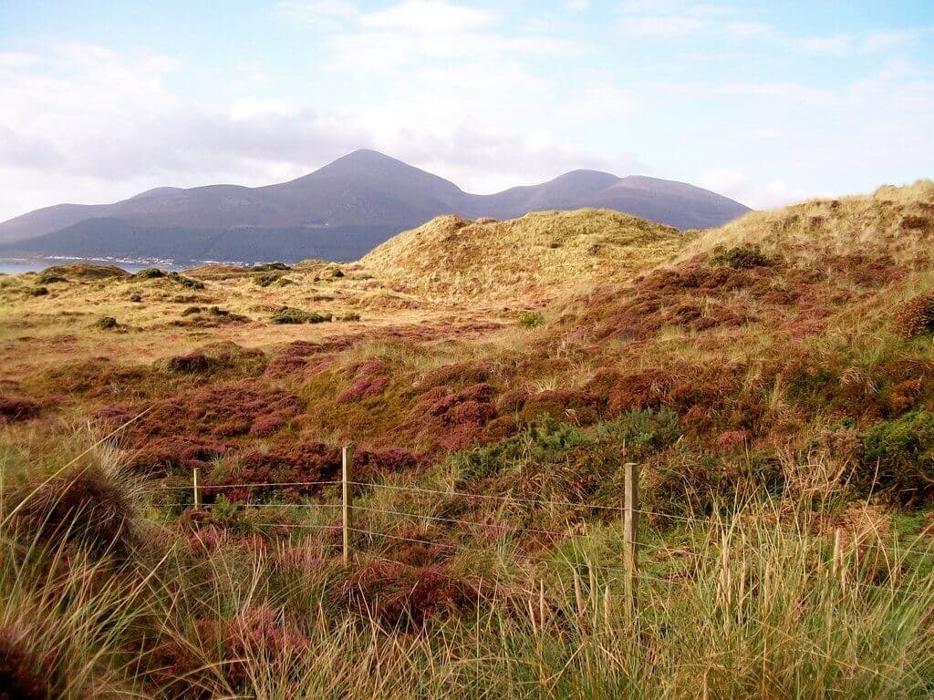 Murlough National Nature Reserve Dune Circuit