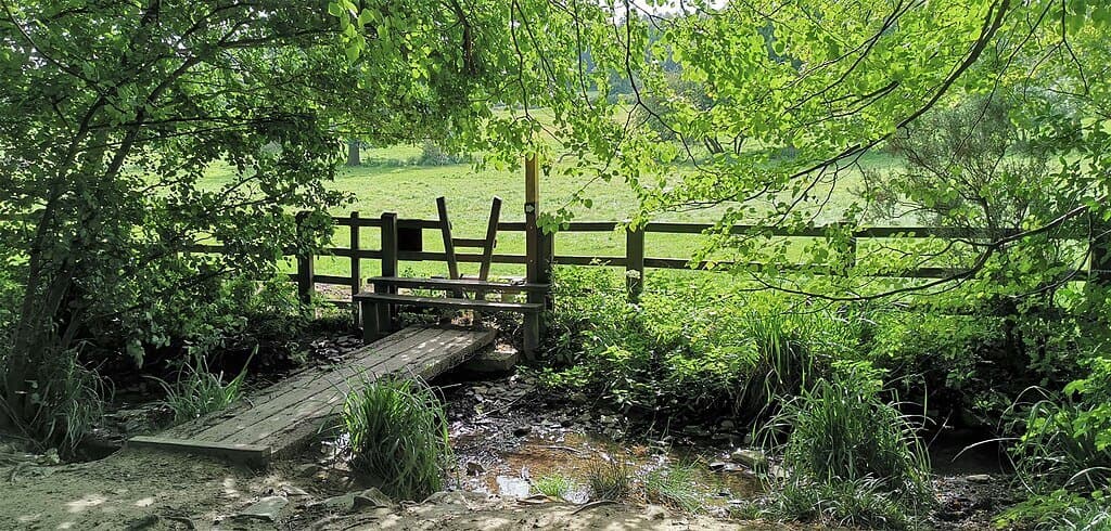 Swithland Wood and Cropston Reservoir Loop