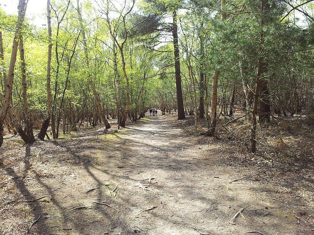 RSPB Minsmere Perimeter Trail