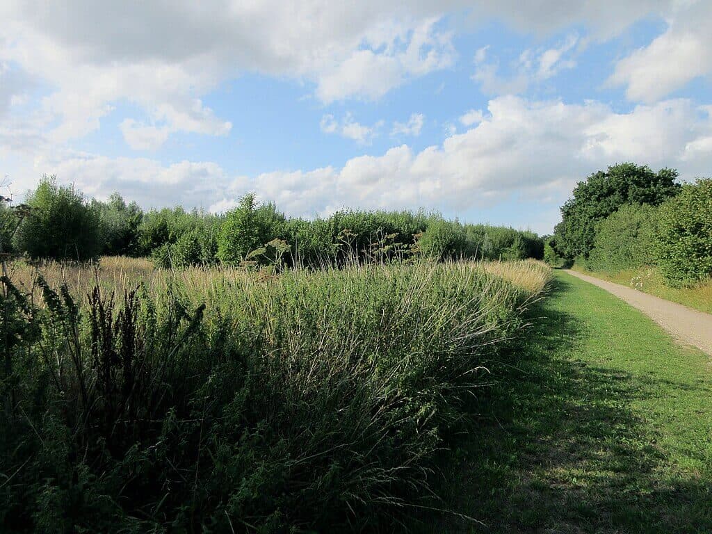 Heartwood Forest Circuit