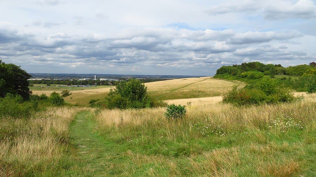 Therfield Heath