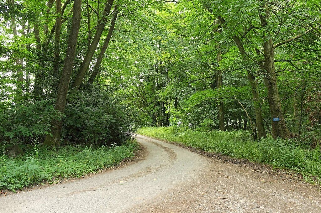 Grovely Wood and River Wylye Circular from Great Wishford