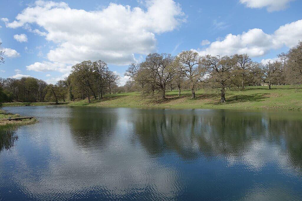 Cornbury Park