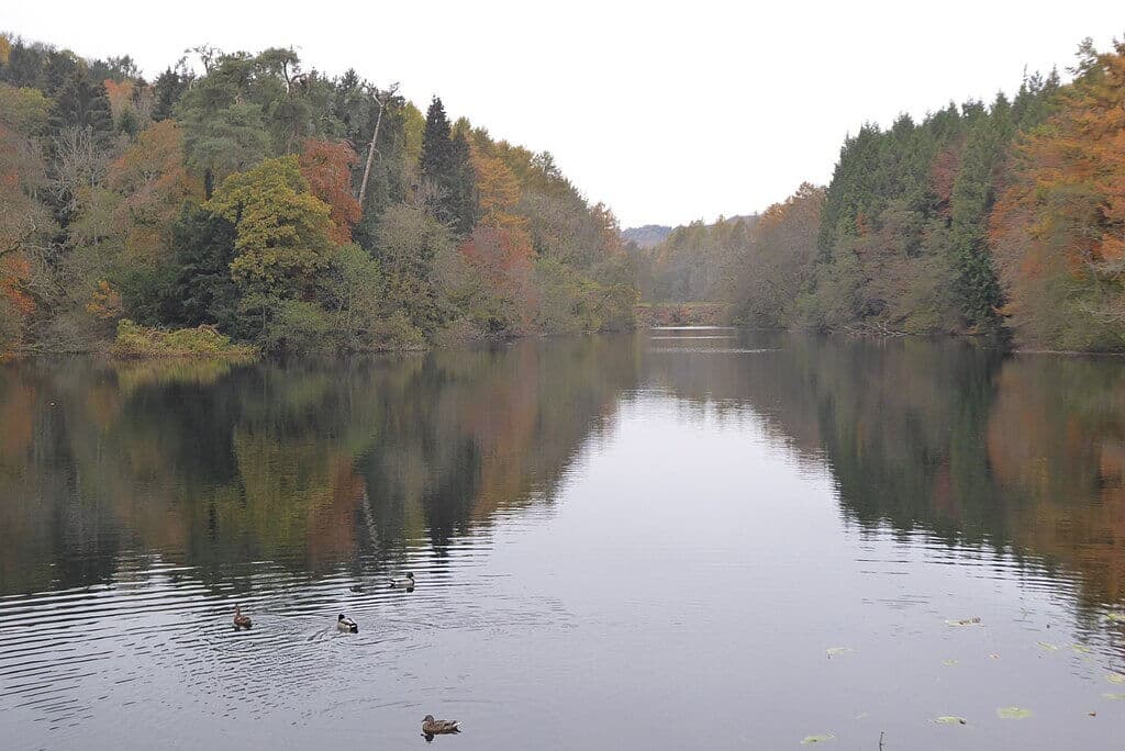 Woodchester Park & Lakes Circular