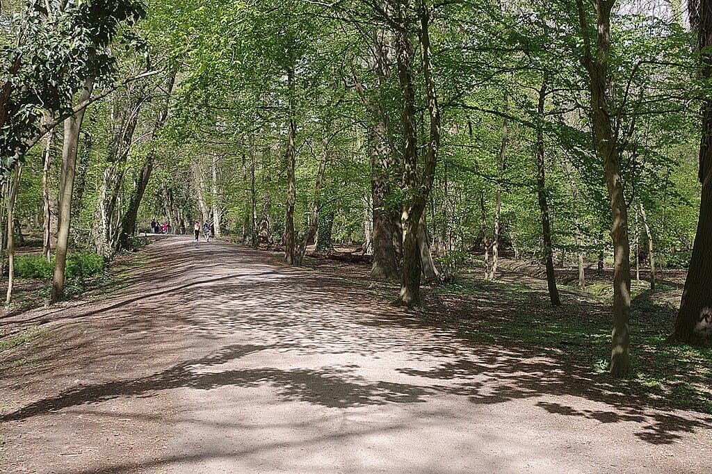 Pooley Country Park