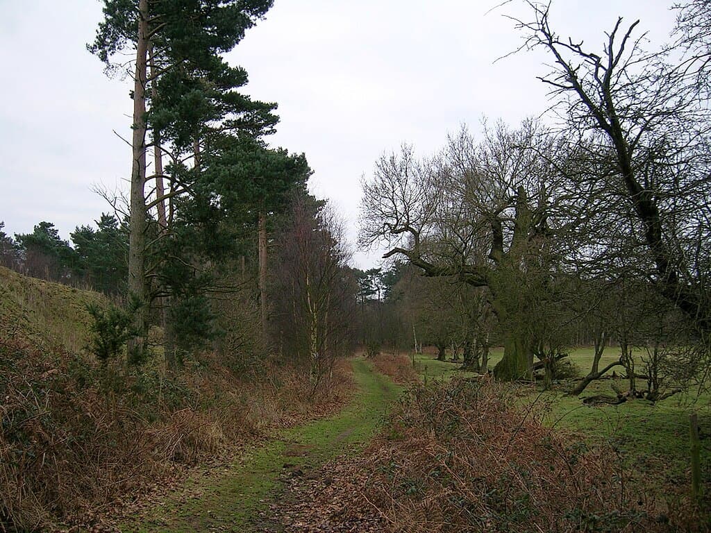 Knettishall Heath Breckland Circuit