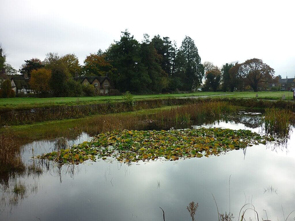 Frampton Pools Nature Reserve Walk