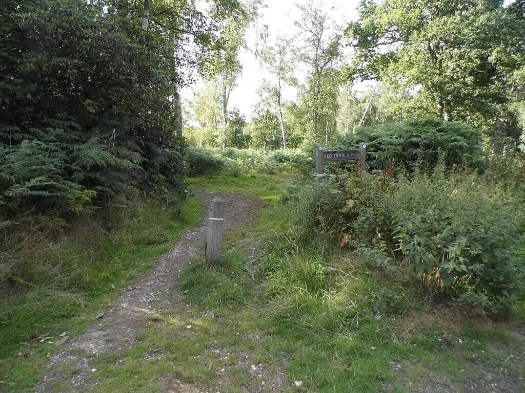 Northaw Great Wood