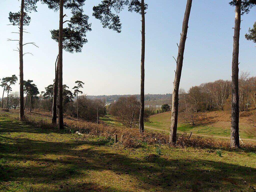 Sutton Hoo Estate and River Deben