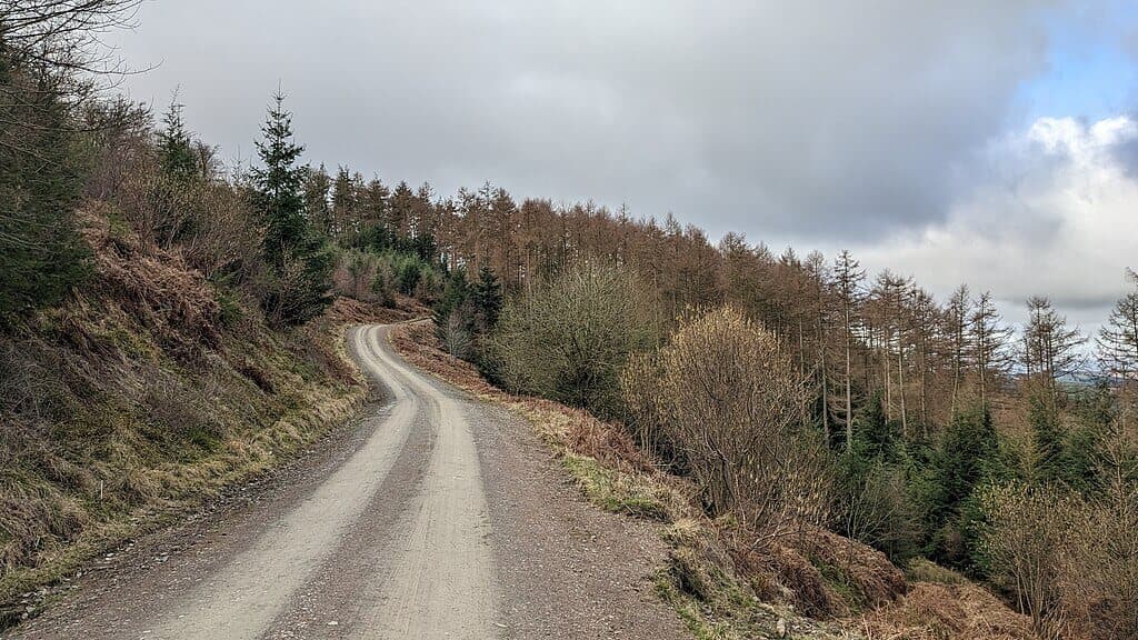 Mortimer Forest