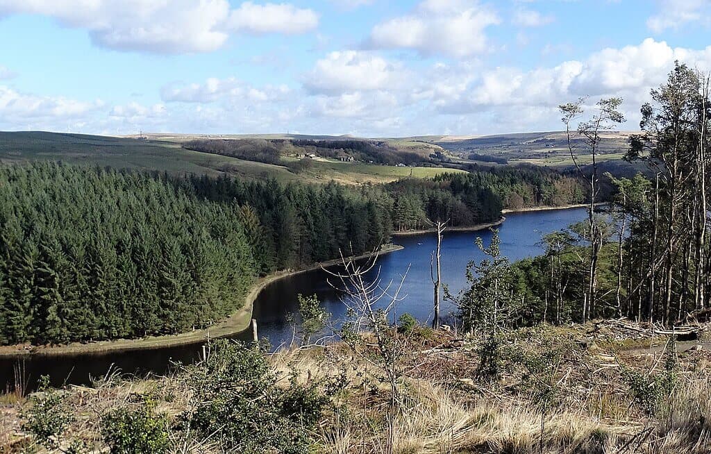 Entwistle and Wayoh Reservoir Circular