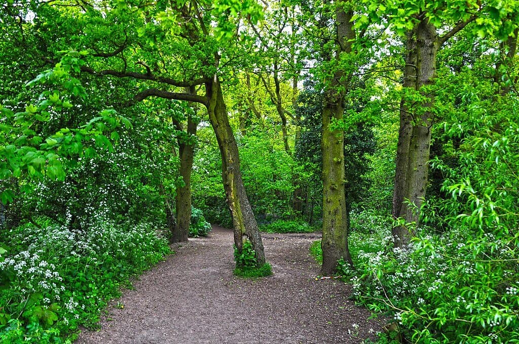 Worcester Woods Country Park Circuit