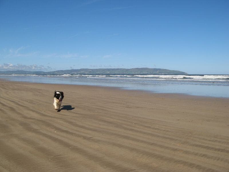 Downhill Strand