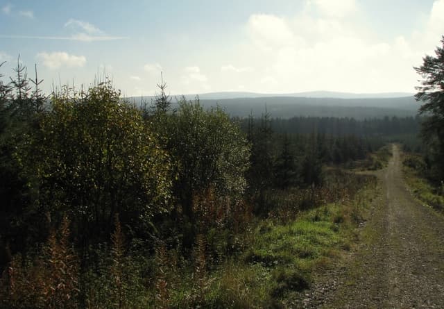 Glenariff Forest Park and Waterfall Trail