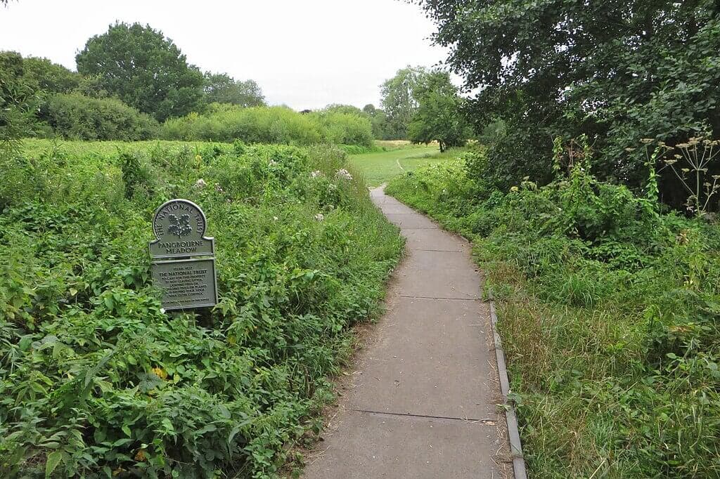 Pangbourne Meadows and the Thames Path