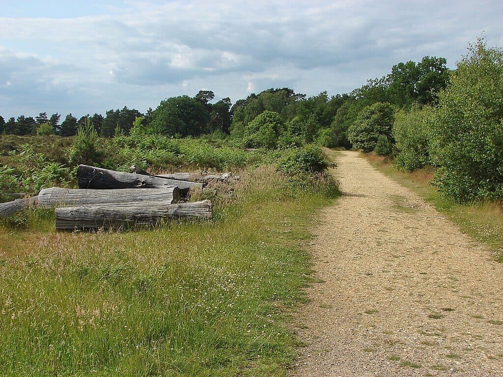 Caesar's Camp and Sandhurst Heath