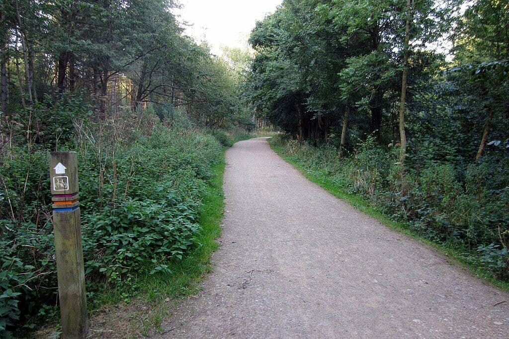 Salcey Forest