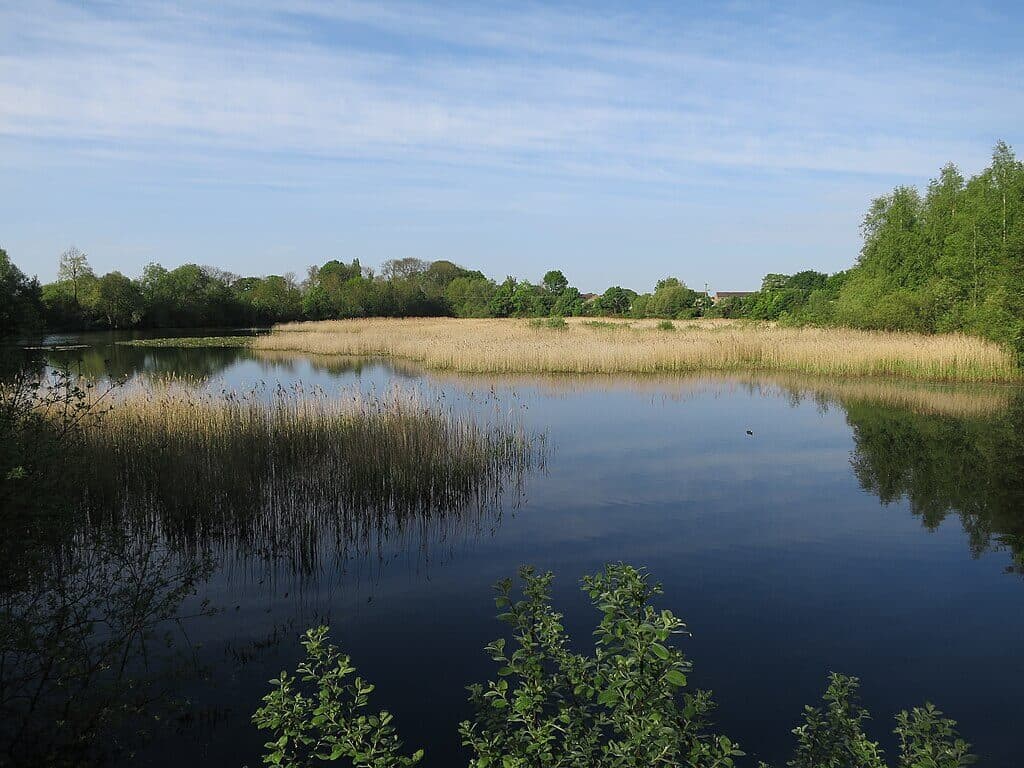 Paxton Pits Nature Reserve