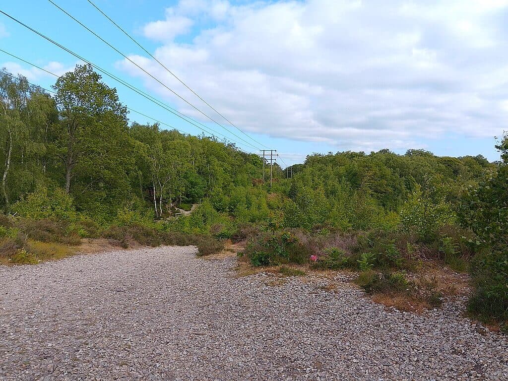 Snelsmore Common