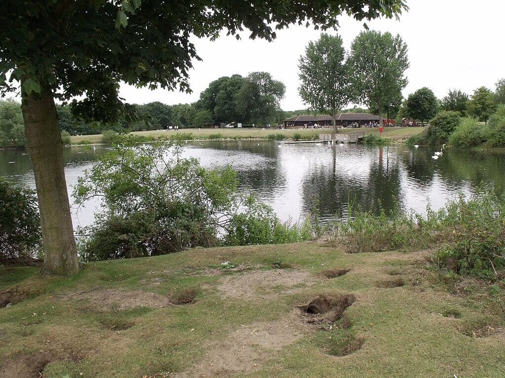 Ferry Meadows Country Park, Nene Valley
