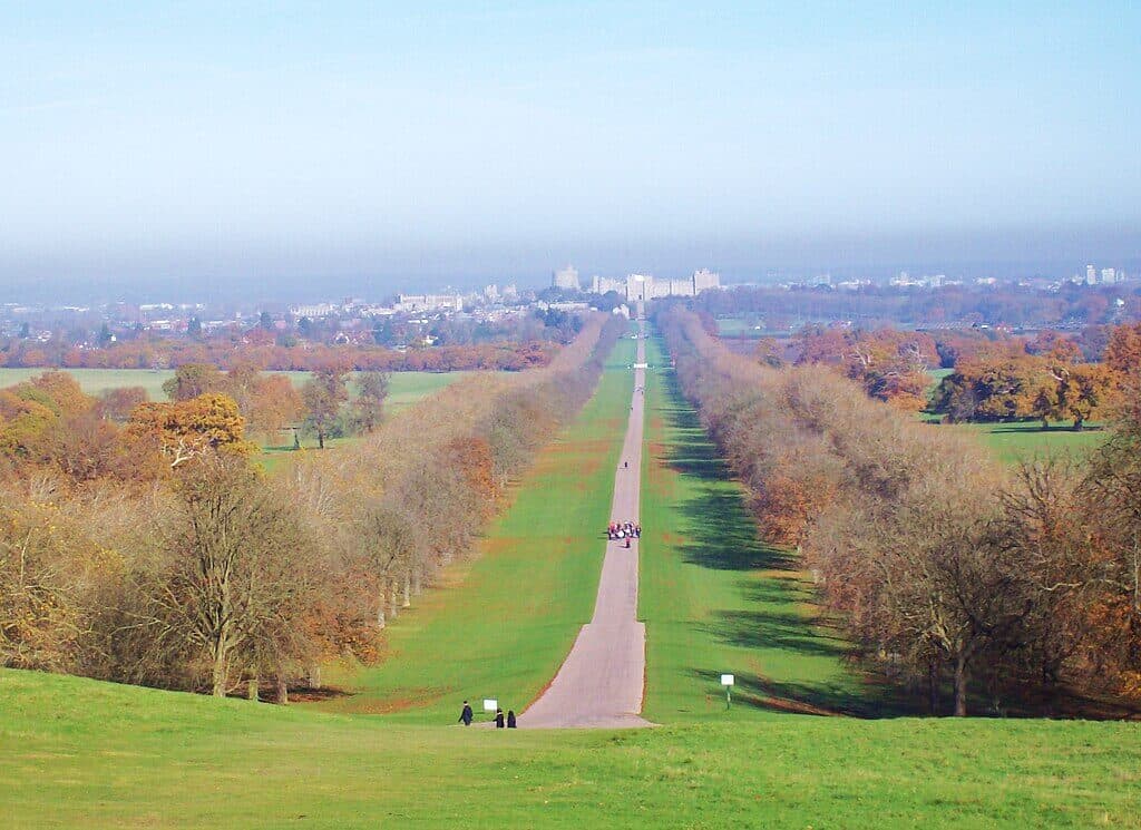 Windsor Great Park: The Long Walk