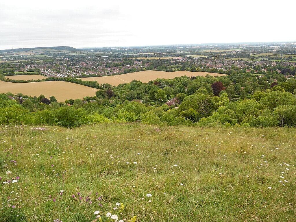 Whiteleaf Hill and Brush Hill, Princes Risborough