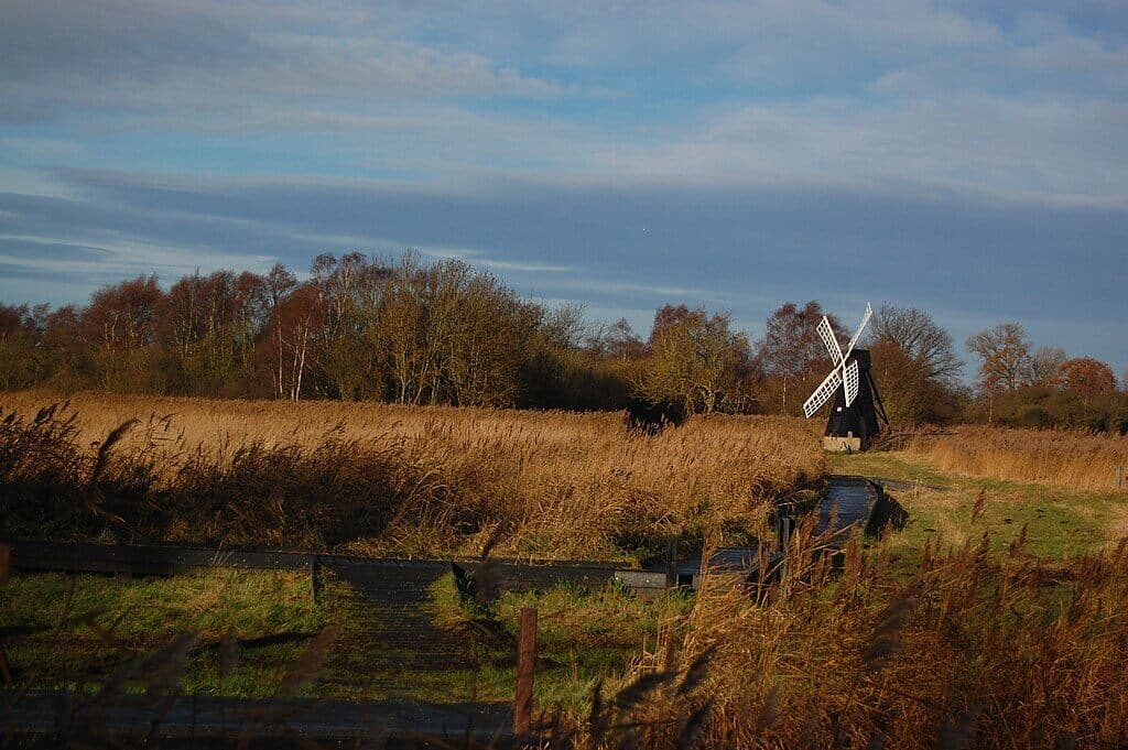 Wicken Fen