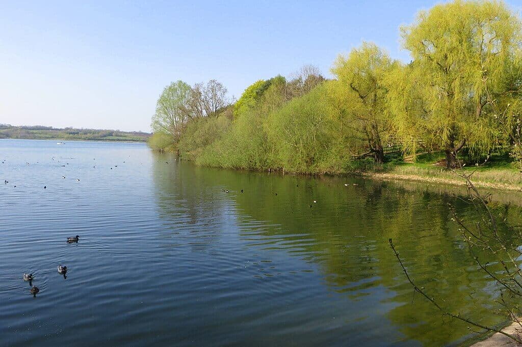 Brixworth Country Park and Pitsford Water