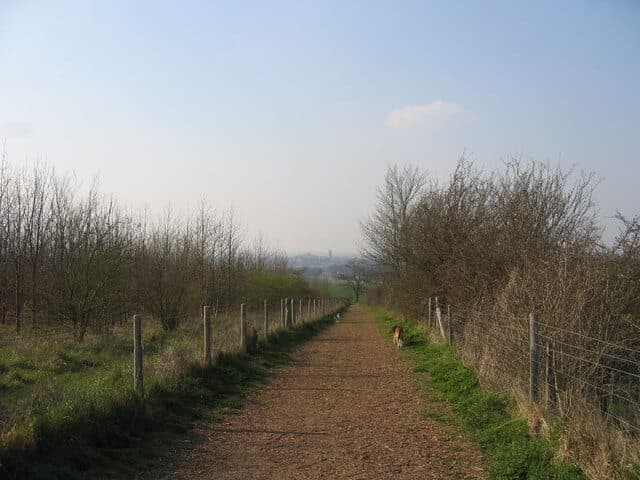 Gog Magog Hills and Wandlebury Country Park